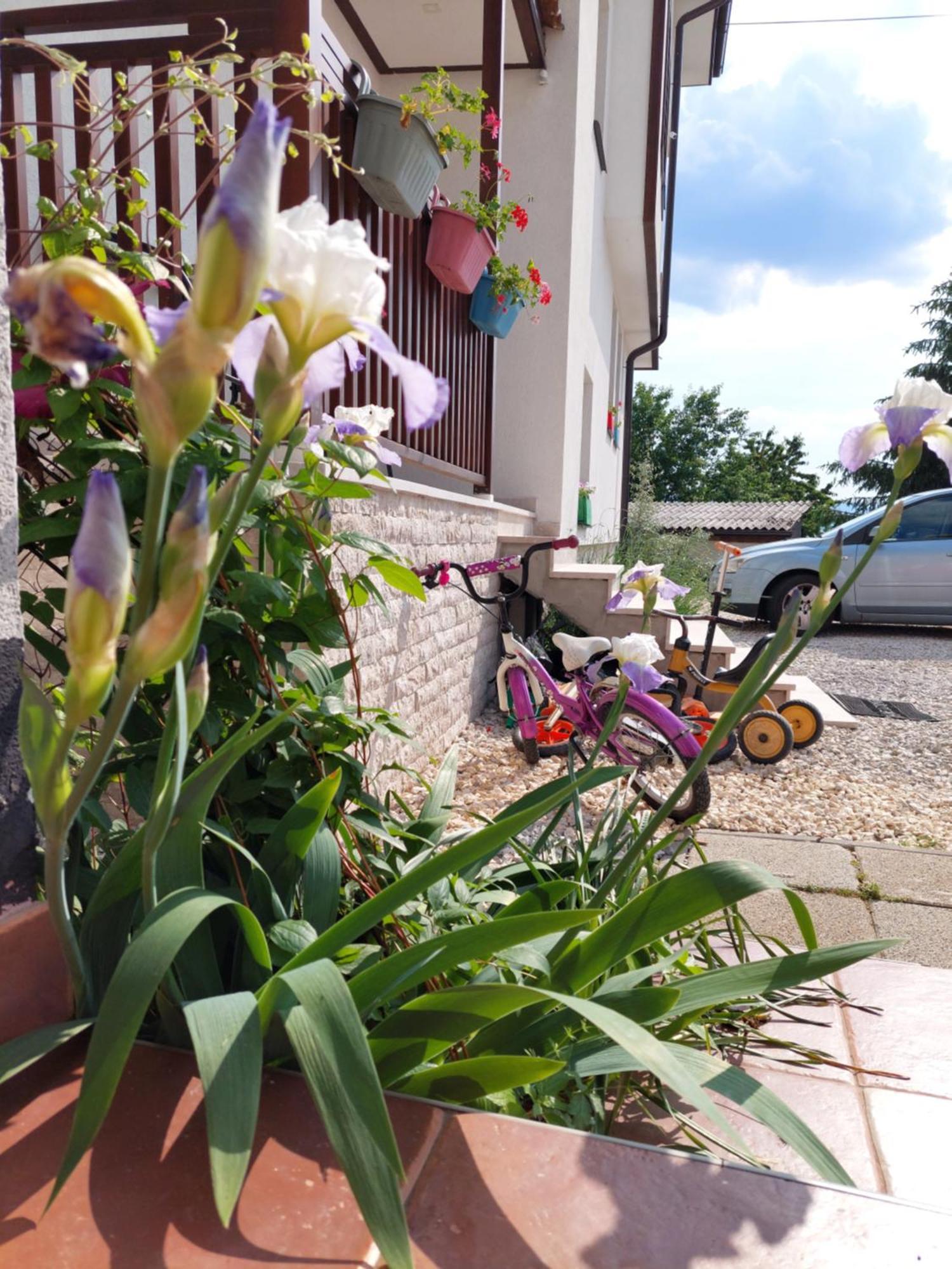 סראייבו Residence Lubina חדר תמונה